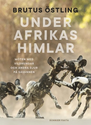 bokomslag Under Afrikas himlar : Möten med vildhundar och andra djur på savanner