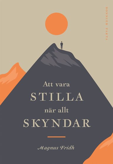 bokomslag Att vara stilla när allt skyndar