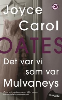 bokomslag Det var vi som var Mulvaneys