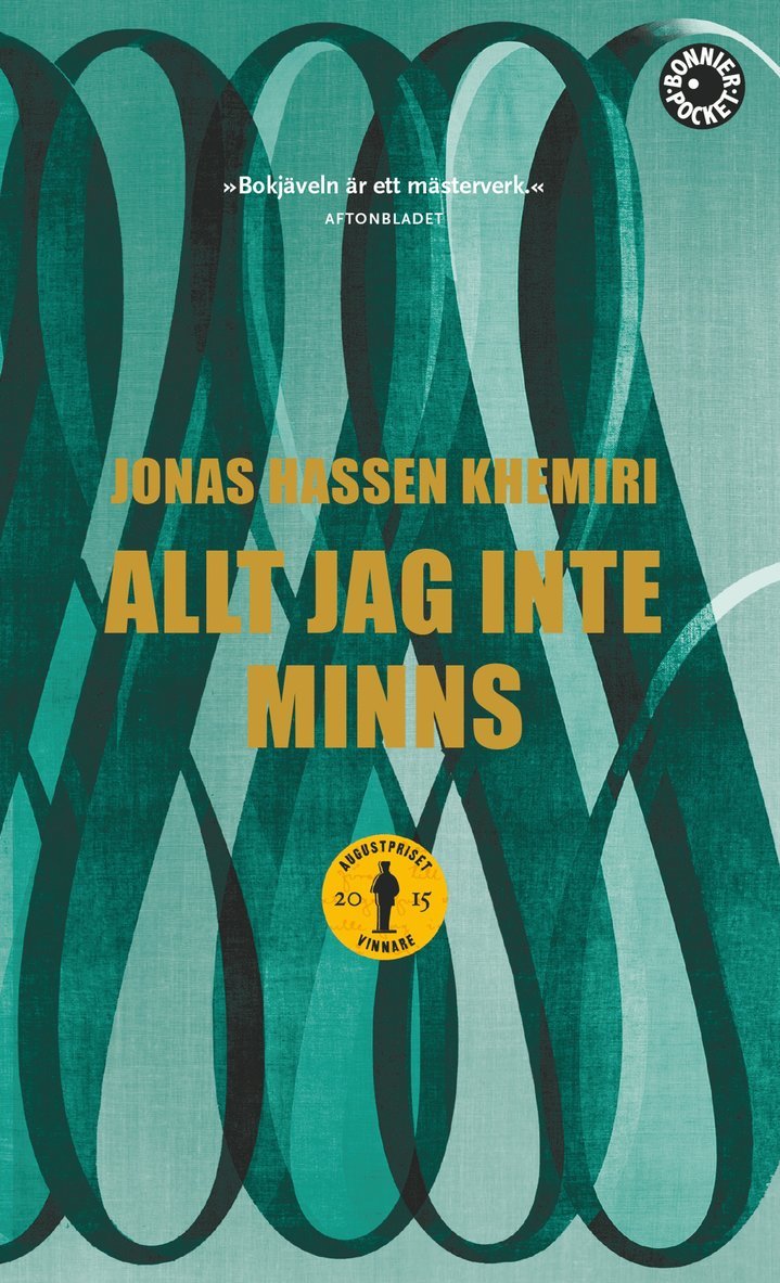 Allt jag inte minns
