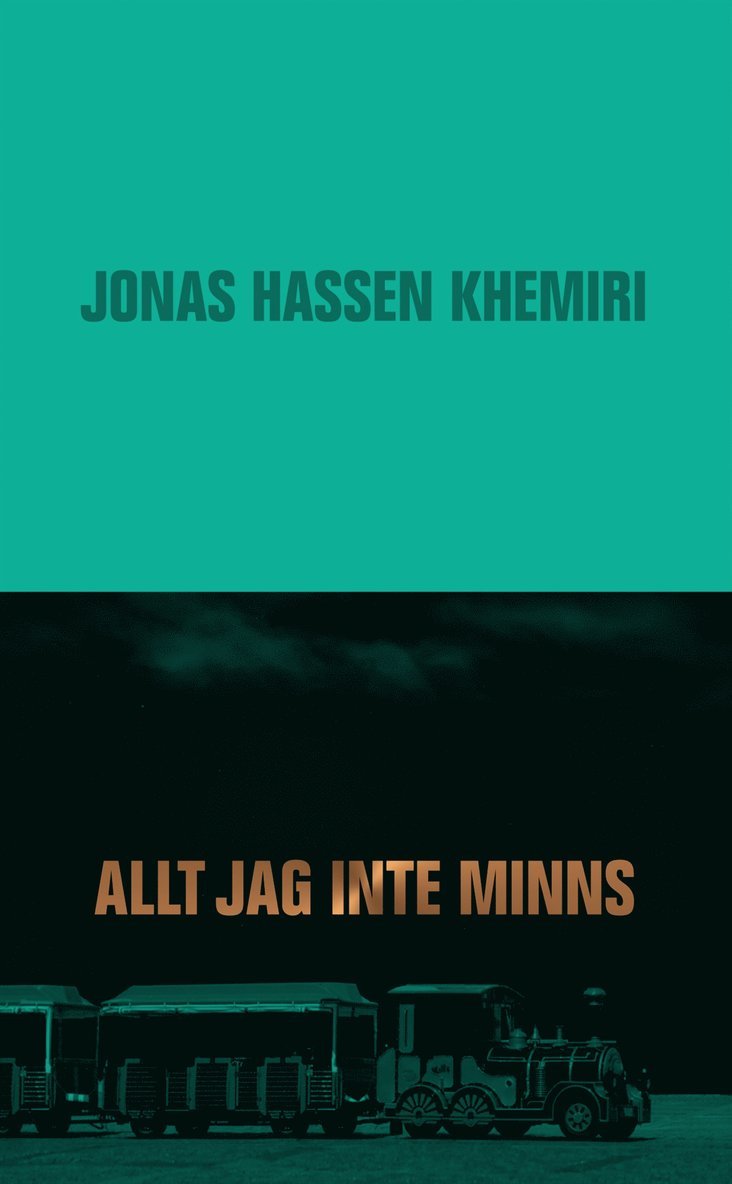 Allt jag inte minns
