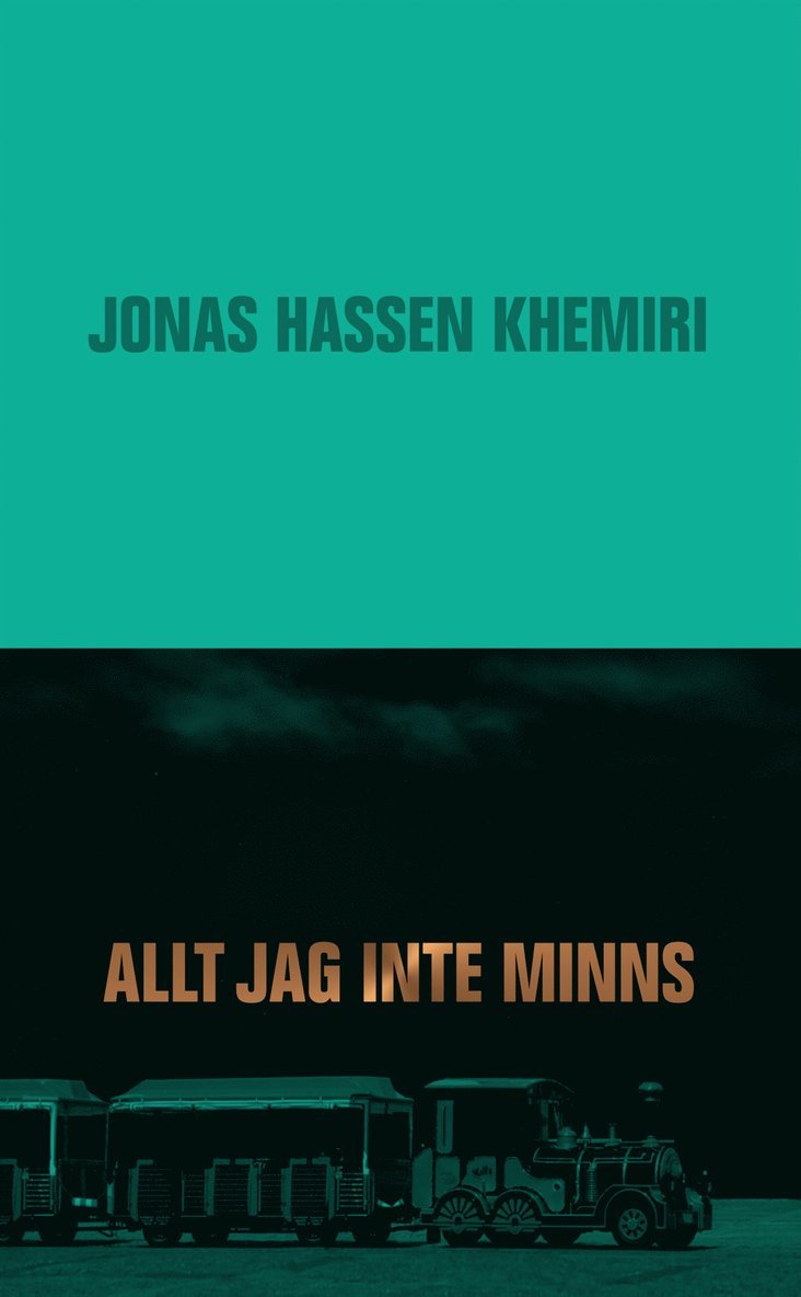 Allt jag inte minns 1