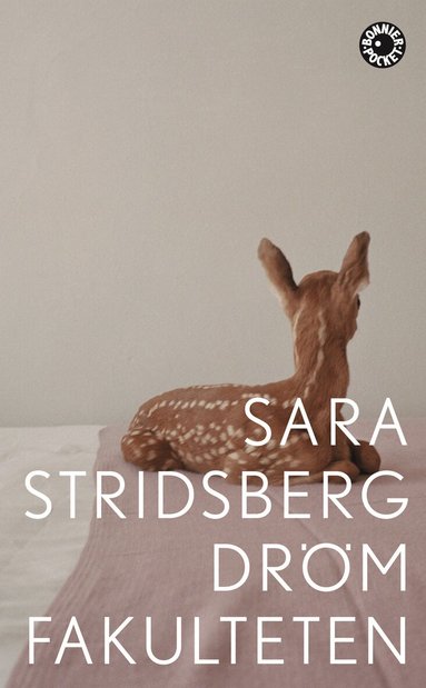 Sara Stridsberg - Drömfakulteten : - tillägg till sexualteorin, Pocket