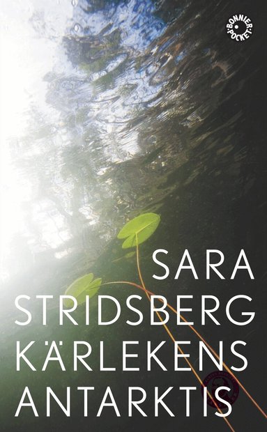Sara Stridsberg - Kärlekens Antarktis, Pocket