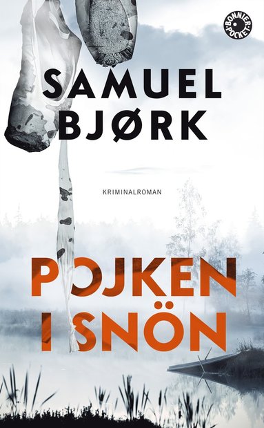 bokomslag Pojken i snön