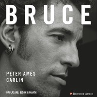 bokomslag Bruce