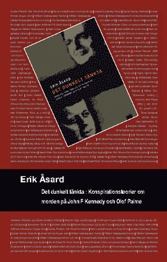 Det dunkelt tänkta : konspirationsteorier om morden på John F. Kennedy och Olof Palme 1