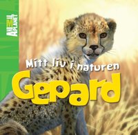 bokomslag Mitt liv i naturen. Gepard