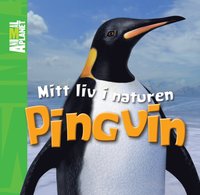 bokomslag Mitt liv i naturen. Pingvin