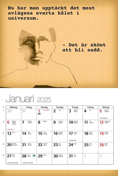 bokomslag Kent Wisti Almanacka 2025