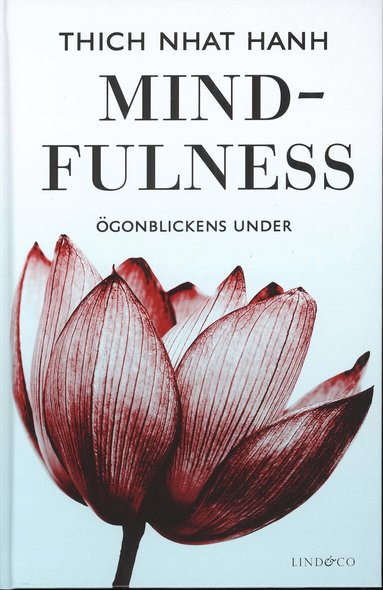 Thich Nhat Hanh - Mindfulness : ögonblickens under, Kartonnage