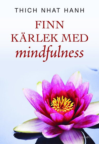 bokomslag Finn kärlek med mindfulness