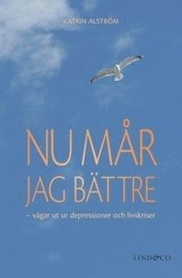bokomslag Nu mår jag bättre : vägar ut ur depressioner och livskriser