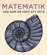 bokomslag Matematik : Vad som är värt att veta