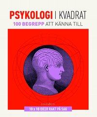 bokomslag Psykologi i kvadrat : 100 begrepp att känna till