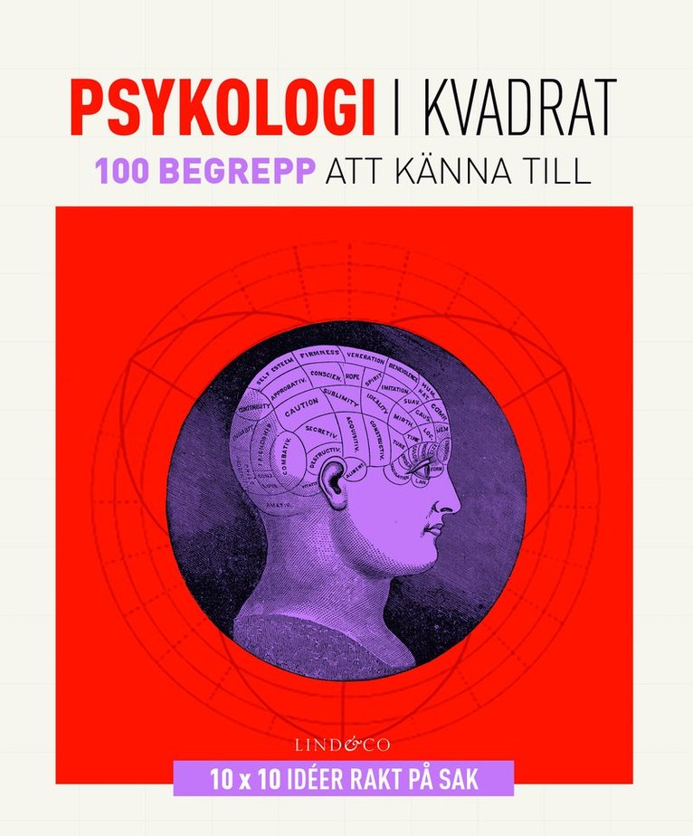 Psykologi i kvadrat : 100 begrepp att känna till