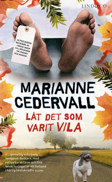 Marianne Cedervall - Låt det som varit vila, Pocket