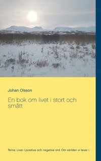 bokomslag En bok om livet i stort och smått