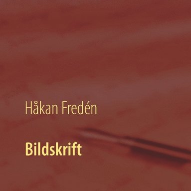 bokomslag Bildskrift
