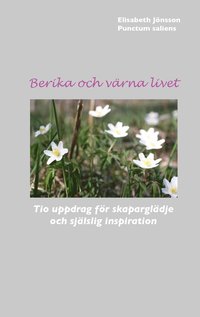 bokomslag Berika och värna livet : tio uppdrag för skaparglädje och själslig inspiration