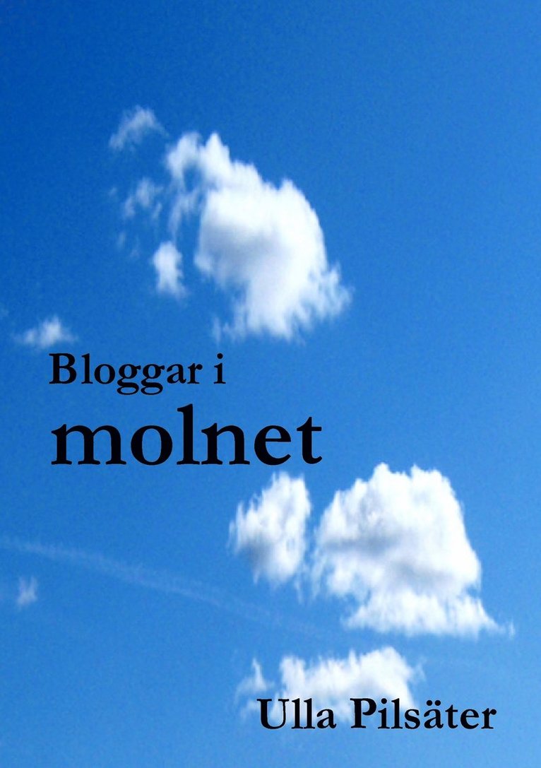 Ulla Pilsäter - Bloggar i molnet, Häftad