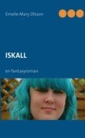 Emelie Mary Olsson, Lars Lundkvist - Iskall, Häftad
