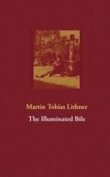 Martin Tobias Lithner - The Illuminated Bile, Häftad