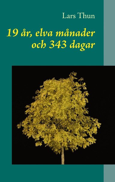 bokomslag 19 år, elva månader och 343 dagar