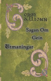 bokomslag Sagan om Gein: Utmaningar