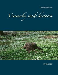 bokomslag Vimmerby stads historia : 1350-1799