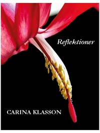 bokomslag Reflektioner