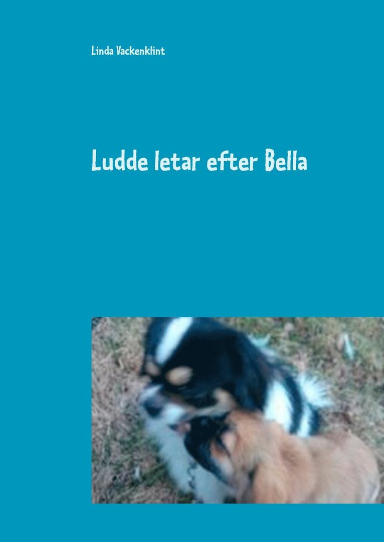 Linda Vackenklint - Ludde letar efter Bella, Inbunden