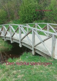 bokomslag Den mörka sanningen