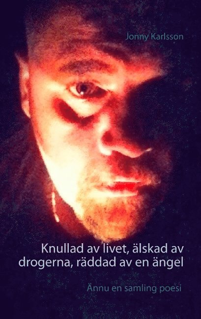 Jonny Karlsson - Knullad av livet, älskad av drogerna, räddad av en ängel, Häftad
