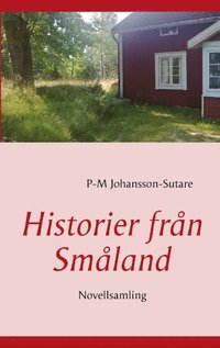 bokomslag Historier från Småland : novellsamling