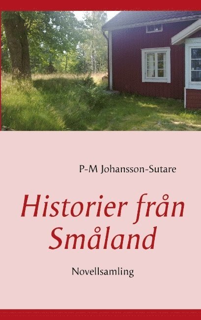 Historier från Småland : novellsamling 1