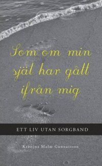 bokomslag Som om min själ har gått ifrån mig : ett liv utan sorgband