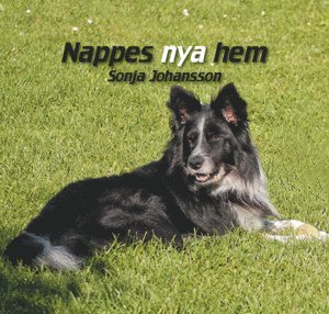 bokomslag Nappes nya hem