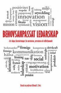 bokomslag Behovsanpassat ledarskap : att skapa förutsättningar för motivation, prestation och välbefinnande