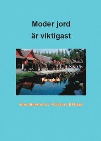 bokomslag Moder jord är viktigast