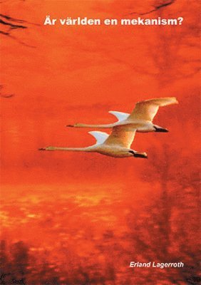 Är världen en mekanism?