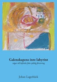 bokomslag Galenskapens inre labyrint : vägar till befrielse från själslig förvirring