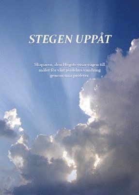 Berit Boström - Stegen uppåt, Häftad
