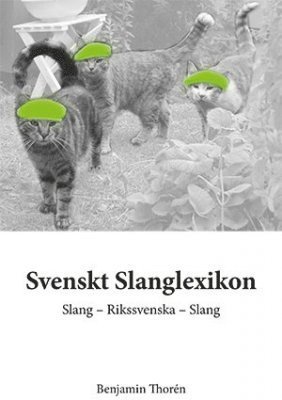 bokomslag Svenskt slanglexikon
