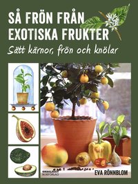 bokomslag Så frön från exotiska frukter - sätt kärnor, frön och knölar
