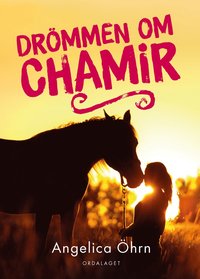 bokomslag Drömmen om Chamir