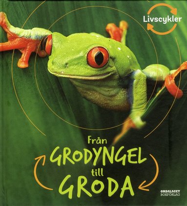 Camilla de la Bédoyère - Från grodyngel till groda, Inbunden