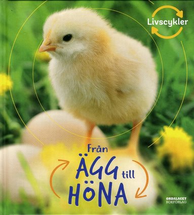 Camilla De la Bédoyère - Från ägg till höna, Inbunden