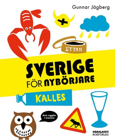 bokomslag Sverige för nybörjare