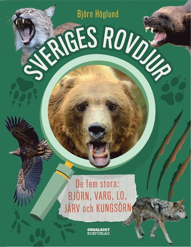 bokomslag Sveriges rovdjur : de fem stora: björn, varg, lo, järv och kungsörn